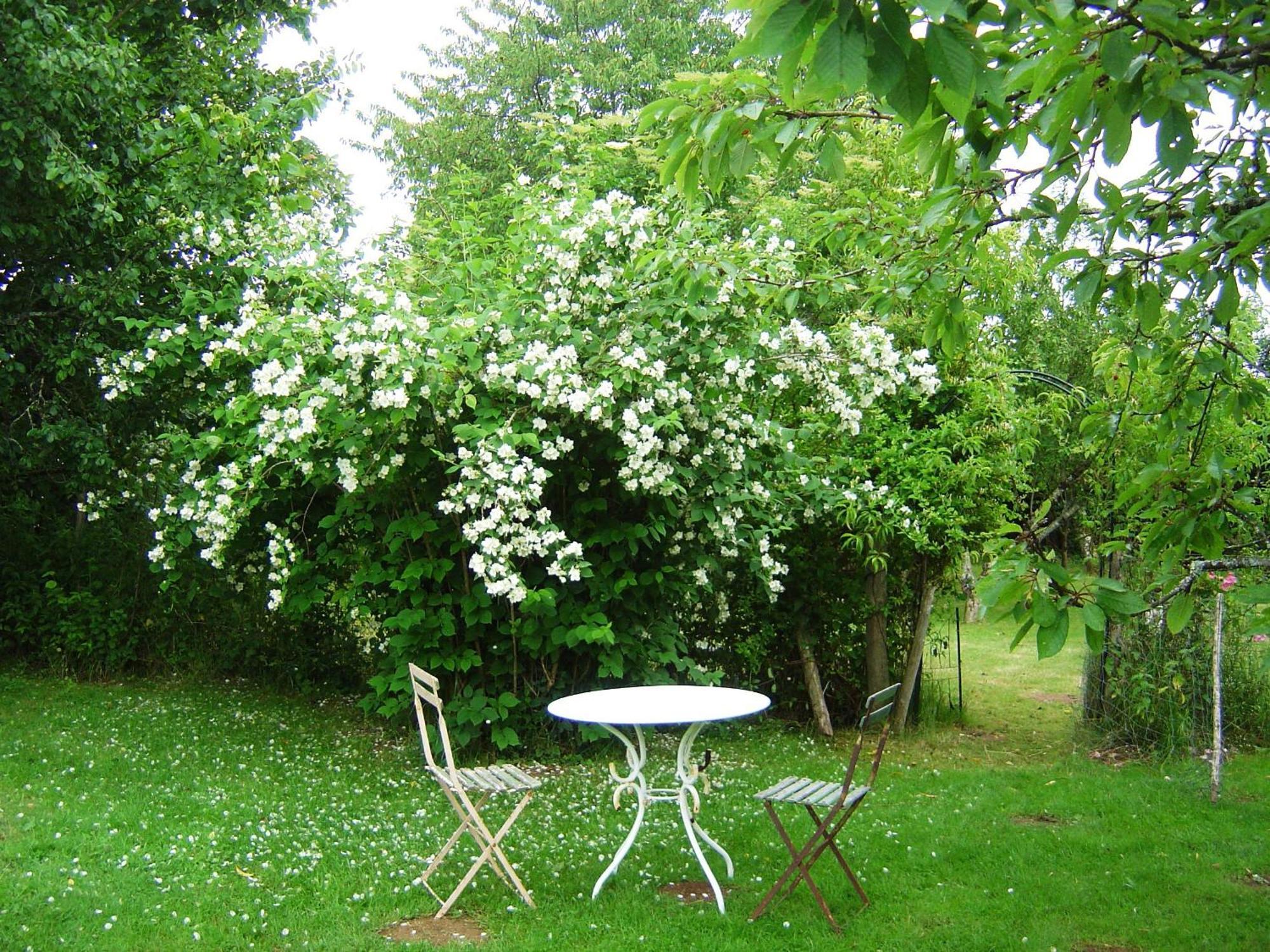 Les Trois Chenes Bed and Breakfast Videix Eksteriør billede
