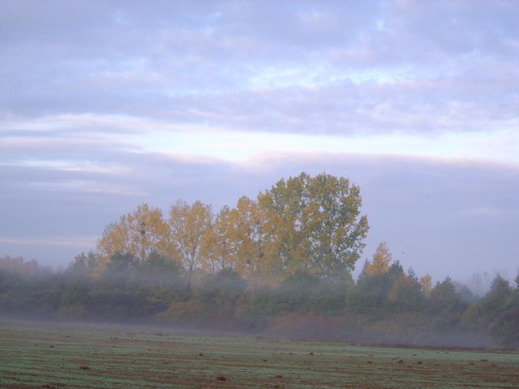 Les Trois Chenes Bed and Breakfast Videix Værelse billede